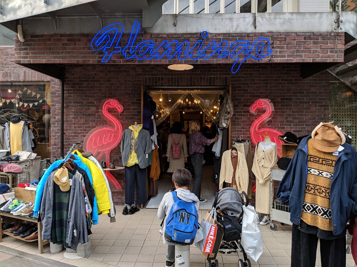 Flamingo様 Flamingo in Tokyo | What to Know Before You Go
