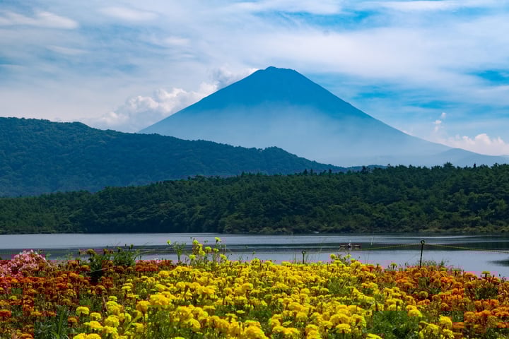 Saiko Lake in Fujikawaguchiko-machi - Ask AI | mindtrip