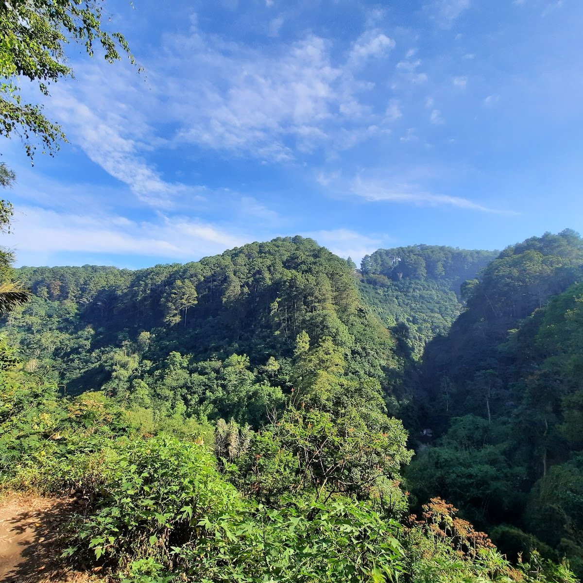 https://mindtrip.ai/cdn-cgi/image/w%3D1200%2Cformat%3Dwebp%2Ch%3D1200%2Cfit%3Dcover/https%3A//iorigin.mindtrip.ai/attractions/1da5/3c82/a645/8f1b/67b1/6a5e/e73e/2ab3
