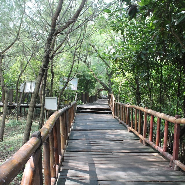 https://mindtrip.ai/cdn-cgi/image/w%3D640%2Cformat%3Dwebp%2Ch%3D640%2Cfit%3Dcover/https%3A//iorigin.mindtrip.ai/attractions/5941/9e70/e9d2/9e89/2a93/bed0/c962/7a2e