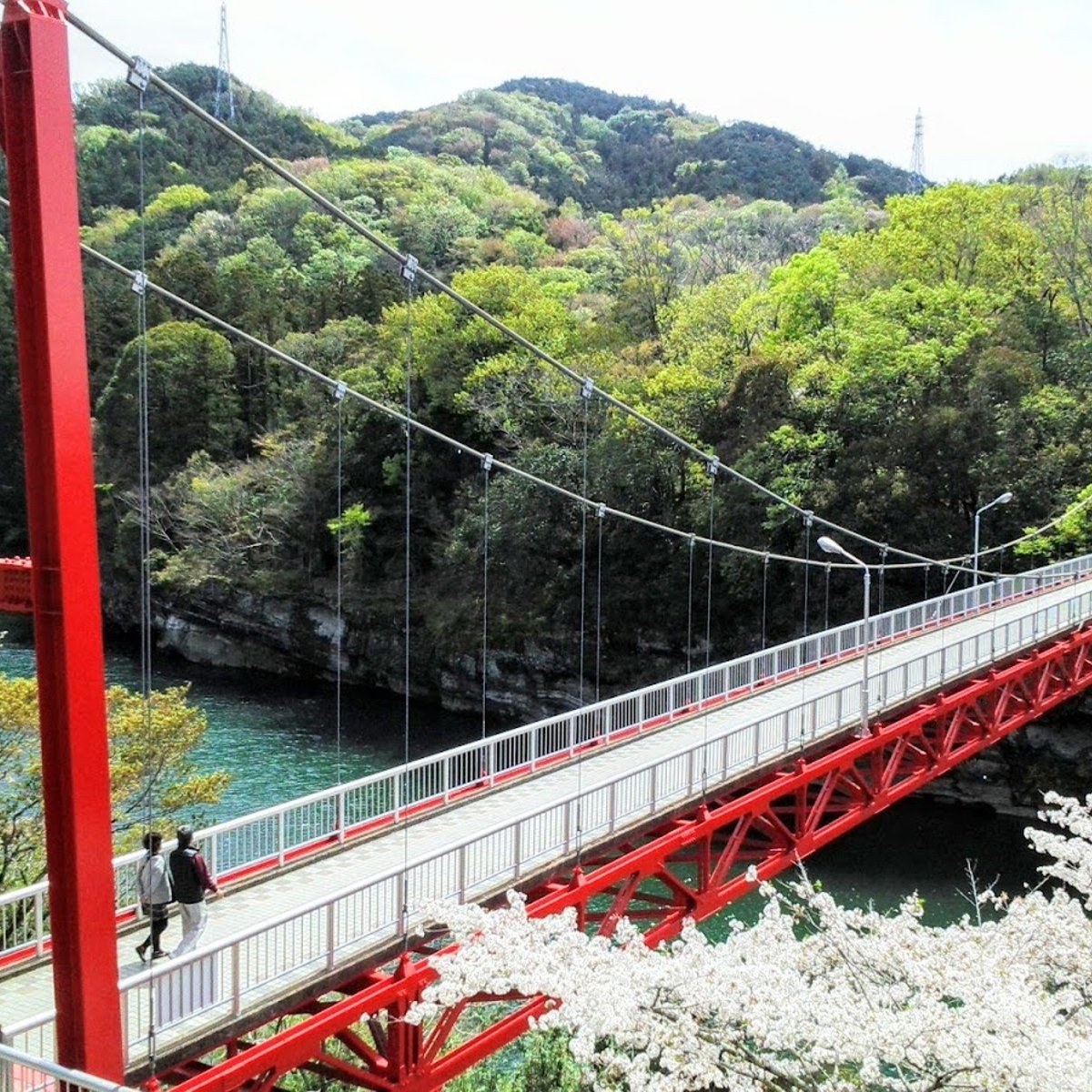 KAZE_TO_MORI カゼトモリ glow bridge Venture across some of Japan's most enchanting bridges