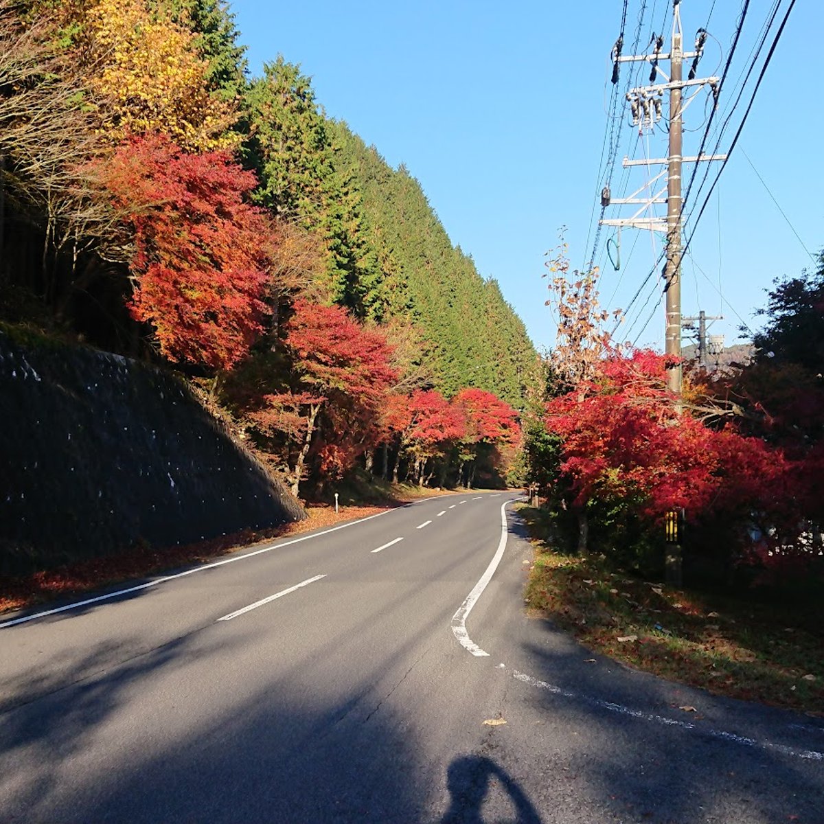 紅葉ページ 2022紅葉情報No.4 | スタッフブログ | 赤城自然園