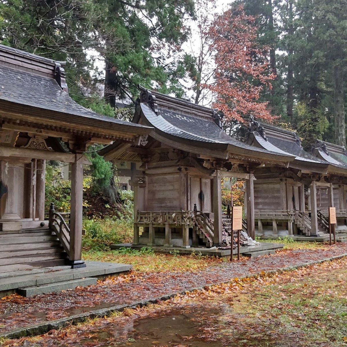 Dewasanzan-jinja Shrine in Tsuruoka | Ask Anything