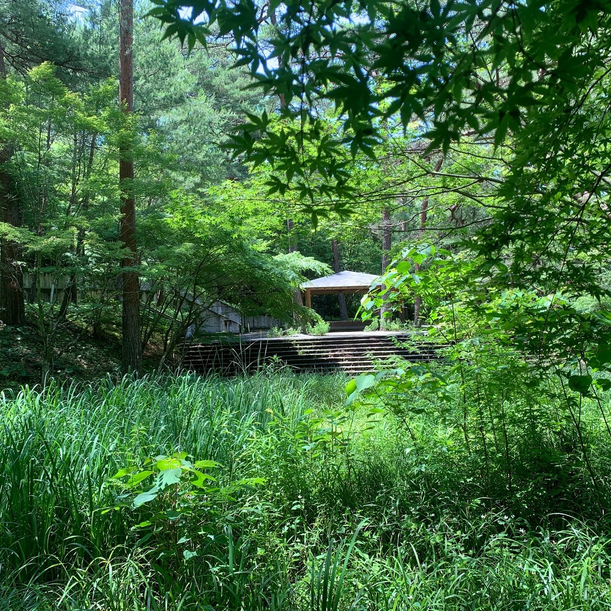 Shizuoka Prefectural Forest Park - Ask AI | mindtrip