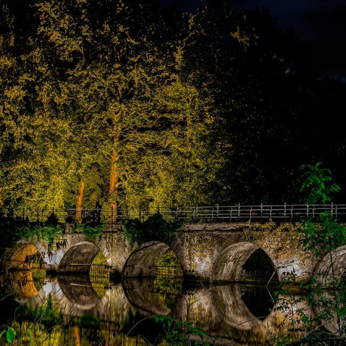 マキシム・モーフラ、「LE PONT DE LEGUENAY, BRUGES」 The delicate art of restoring a historic covered bridge - CIMA+