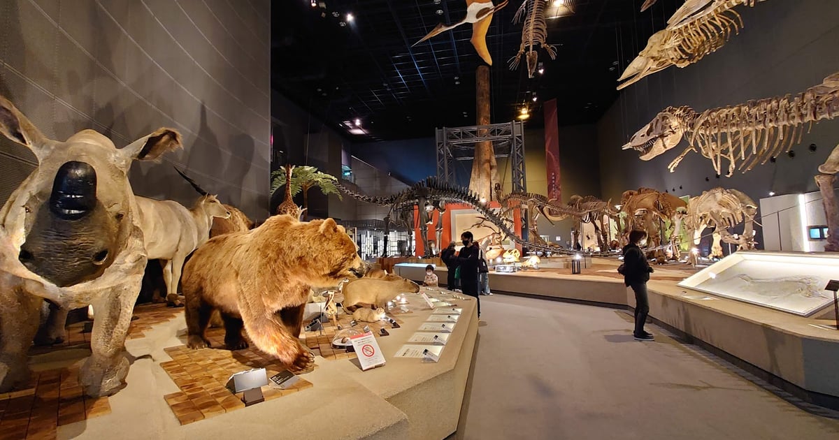 Natural History Development in Japan an… Natural History Development in Japan and Its Future