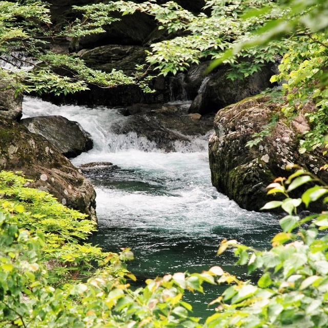 滝ぼん 不易の滝 in Otaki-mura, Nagano Prefecture - Ask AI | mindtrip