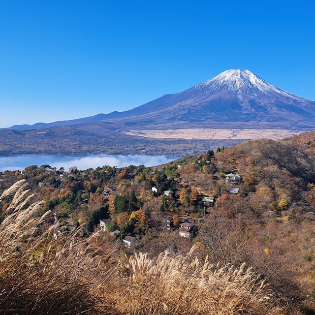 Fujisan 5 Gome in Narusawa-mura - Ask AI | mindtrip