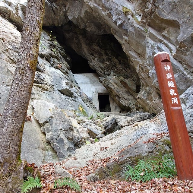 切り取られた鍾乳洞 井倉洞 – Chugoku Region Tourism Guide | 中国地方観光情報サイト